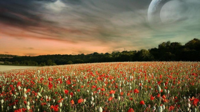 为什么光纤目前取代不了网线？